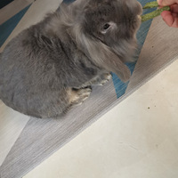 ����ѽ���ⴹ������Ŀ��ԡ��ԡ���