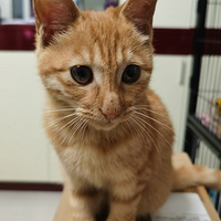 С��������Ѱ�ٰ���������