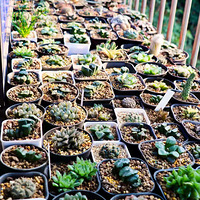 Ϊ���ҵĶ��⣬����һ���������̨��������