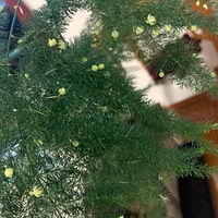 �������ֿ����ˡ�