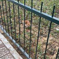 �����ˣ���̳���С��è����ɪɪ���������˸���һ������