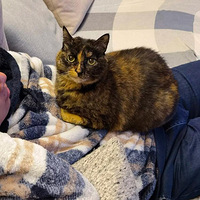 ��ֻ�����ֵ����