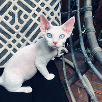 ���ǰ�������ƽʱ�Һ�����