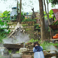 ��ʥ��������--����ɽwanghong����