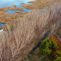 һЩ�����¼������+���ӡ���