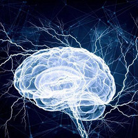 о֣¹ڻᴩ͸Ѫϣ˴֪