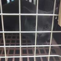 ���������ҵ��˺���������������лƽ̨