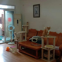 2021�¾���վ���¼�������ϸ���