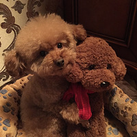 ��������������������£�