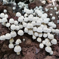 һ��¥��ż��һȺ��ɡɡ~��ȷ����ɡɡ���ǲ����ԳԵ�