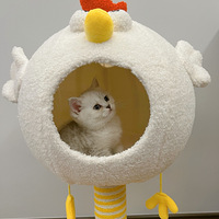 ��è����---�����ӻؼң����Ȼ��ĵ�һ��