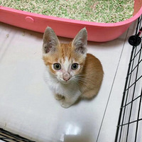 �Ҽ��̸ձ��������ʱ��&���ڵ����� ����Ǿޱ䰡