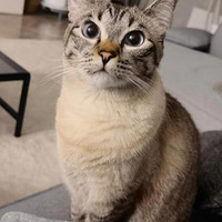 ����è���첻��è�Ѳ��Ǳ��Ӳ����·�Խ��Խ����ô��