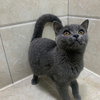 С�һ�Ѱ��һ����ů�ļ�