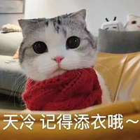 ��˫11ֵ����������ţ��48��135��ܽ����˿ϴ����79