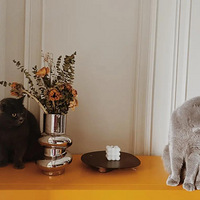 ��¼һ�����Ǻ�ë�����ǵķ�ʽ���ż�