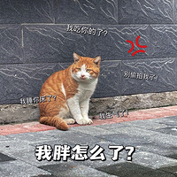 ����¥�µ��ٰ�֮��