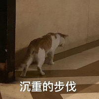 һĶг̿*ʲô˼ͣСʱ;ʧ