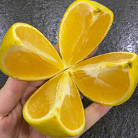 ��������Ե��ĺóԵ�ˮ��������˫�������г�