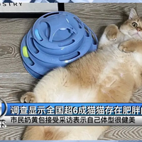 èè����Ƶ����䲥��һ��