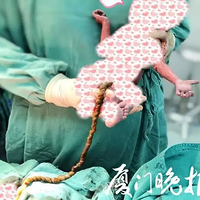 31ܱŤת38Ȧʳ±ƾΣ1000