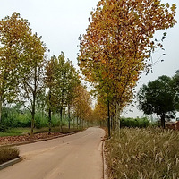 �ϰ��������������ӵĺõط�Ŷ