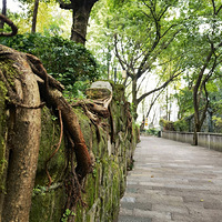 ��¼���ߵķ羰