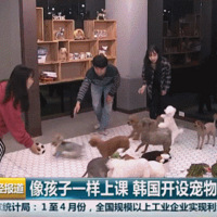 жࡰҪѧ3000Ԫ/±̻