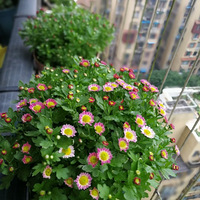 2021��11����̨��¼