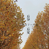 山¶ӪȥĿ4:ĩҰͣպ롱