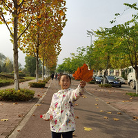 幫԰̫ˣʺ¶ӪҰͣ޶ˣ