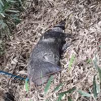 ԲɾңͻͷͷҰһƨɶ׶