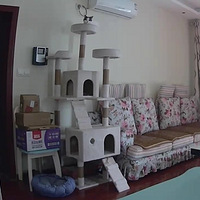 һֻ��Ͳ�ʺ����Ѷ��è