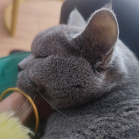 �Ҳ�����֪������Ҫ������ҽԺ������Ҫ�ؼ��ˣ��ڼ�װ˯��