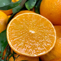 ���óԵ�ˮ����~���£���ۣ���ƻ���ȣ�����ʱ����Ʒ