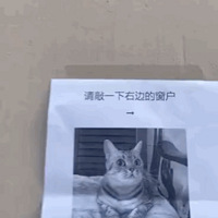 Ц����������ĺ�����