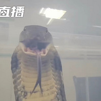 żҸۺؽػ4׻۾