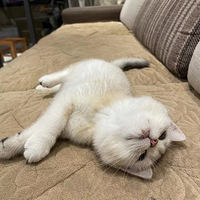 è���������˯������