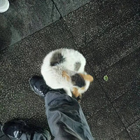 ���������ǡ�����èè���������Ը�ճ��ѽ