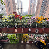 �ֵ���һ��һ�ȵ��;�ʱ����