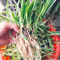 ����̫���ˣ�����200��֧��������ȥ����