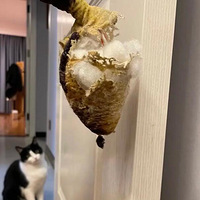 ���ƻ��� �����²���