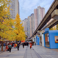 ����ԭ��Ҳ������~~