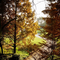 ����������ͷ