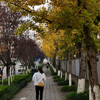 ������е���ɫ