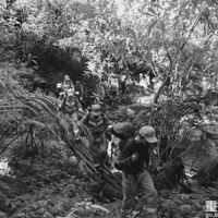 ����ɽ���ʵ���Ա�����¼�����ϸ����¶��ȴ�������Ե���������