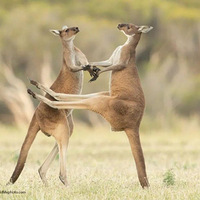 �����ʱ�����һ�£�����Ƭ������