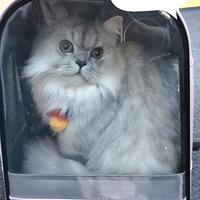 û�뵽��һ�����׼�Ůè��ô��