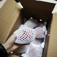 ������ƻ���ʱ�