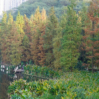 ���ƺ�ˮɼ��ѹ������ѵ���ʮ�����ǲ��ƺ�������ʱ��